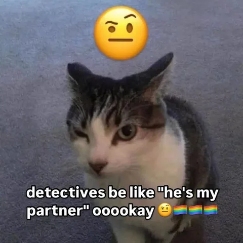 Detectives Be Like He's My Partner