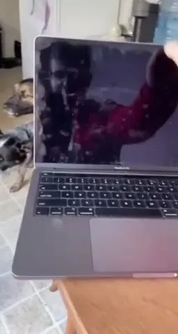 Laptop With Every Feature