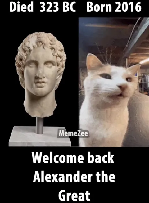 Welcome Back Alexander the Great