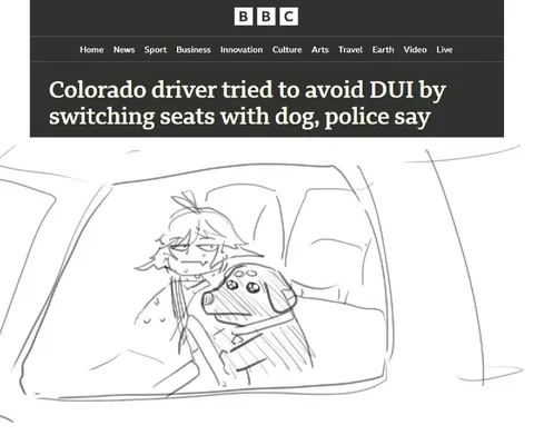 Driver Switches Seats With Dog