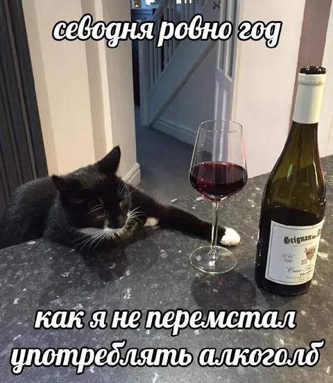 Год без отказа от алкоголя