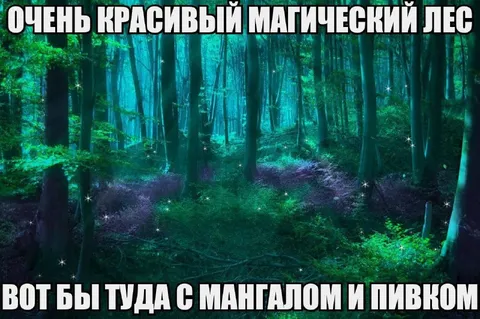 Магический лес для шашлыка