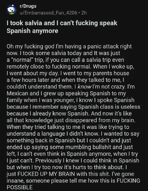 Salvia Made Me Forget Spanish