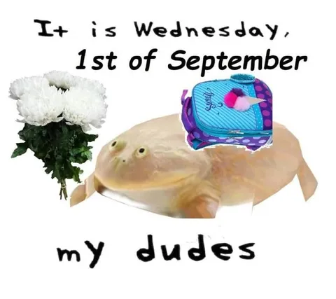 Wednesday September Frog Back to School