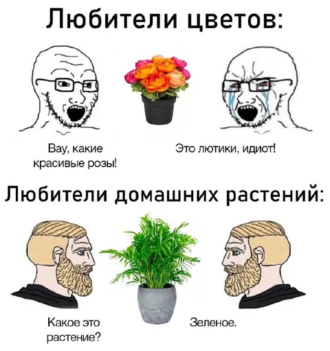 Любители цветов и растений