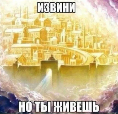 Извини, но ты живёшь