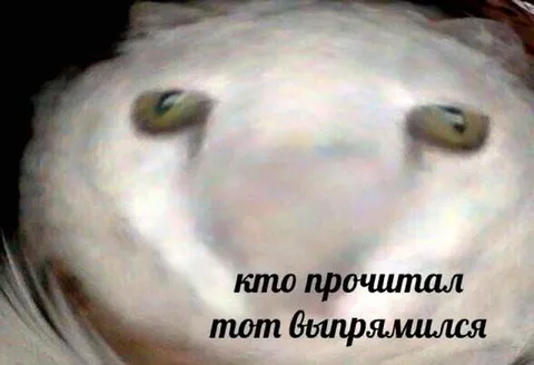 Кто прочитал — тот выпрямился