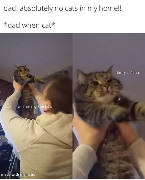 Dad Says No Cats, Then Adopts One