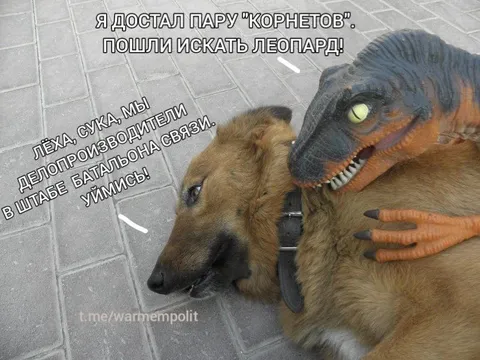 Корнеты и поиски леопарда