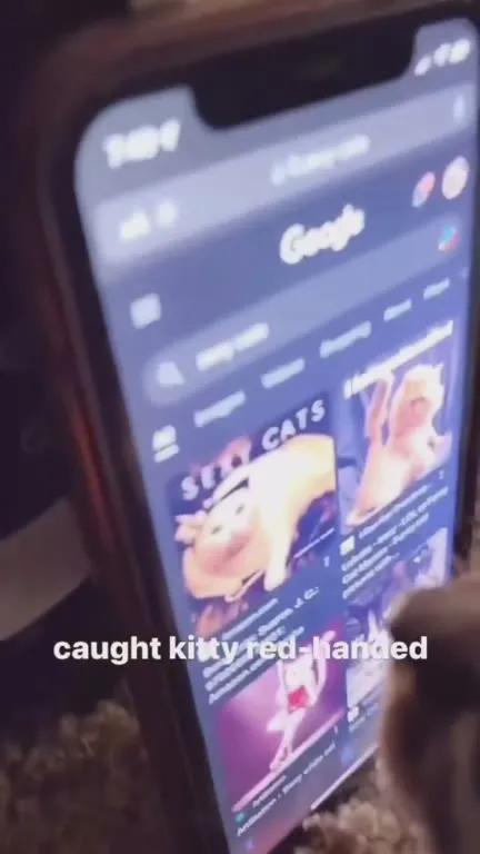 Caught Kitty Red-Handed