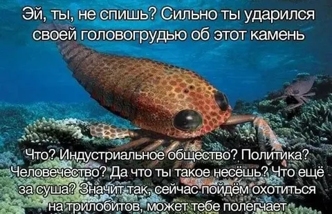 Головогрудь и охота на трилобитов