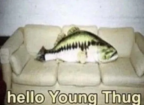 Hello Young Thug Fish