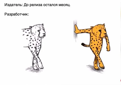 Разработчик перед релизом игры
