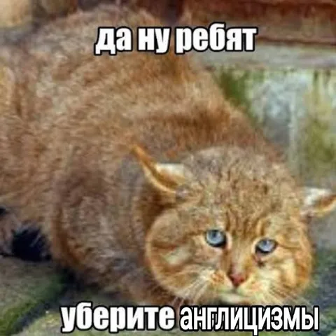 Кот против англицизмов