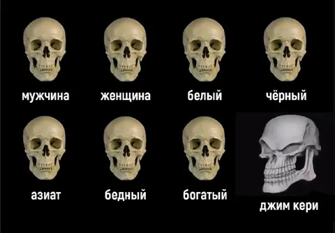 Черепа разных людей и Джим Керри