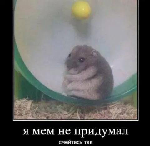 Хомяк в колесе без идеи
