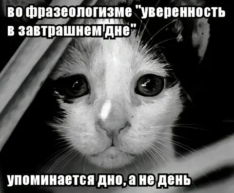 Уверенность в завтрашнем дне