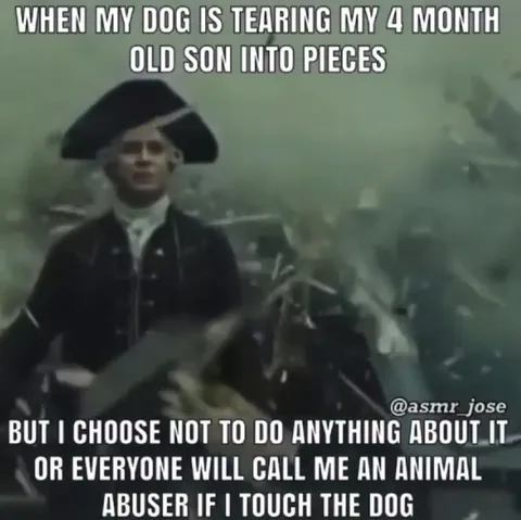 Dog Tearing Son Apart