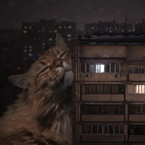 Гигантский кот у дома