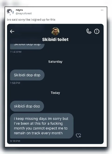 Skibidi Dop Dop Accountability