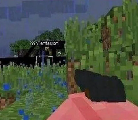 Minecraft Visits XXXTentacion