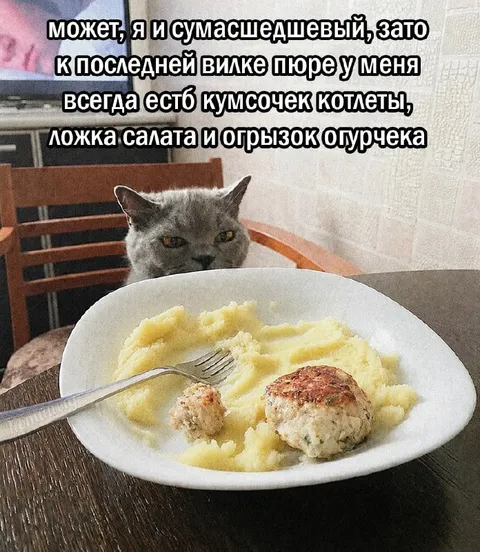 Последняя вилка пюре с котлетой