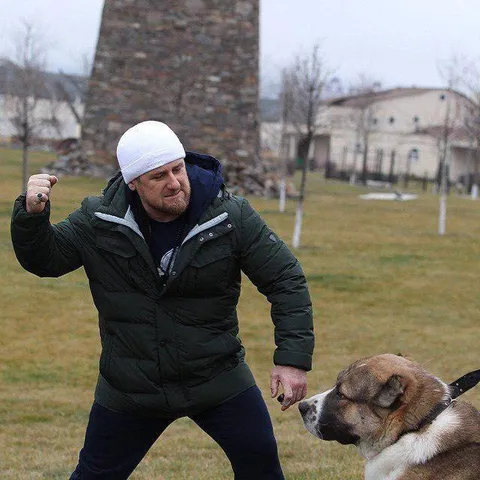 Мужчина замахивается на собаку
