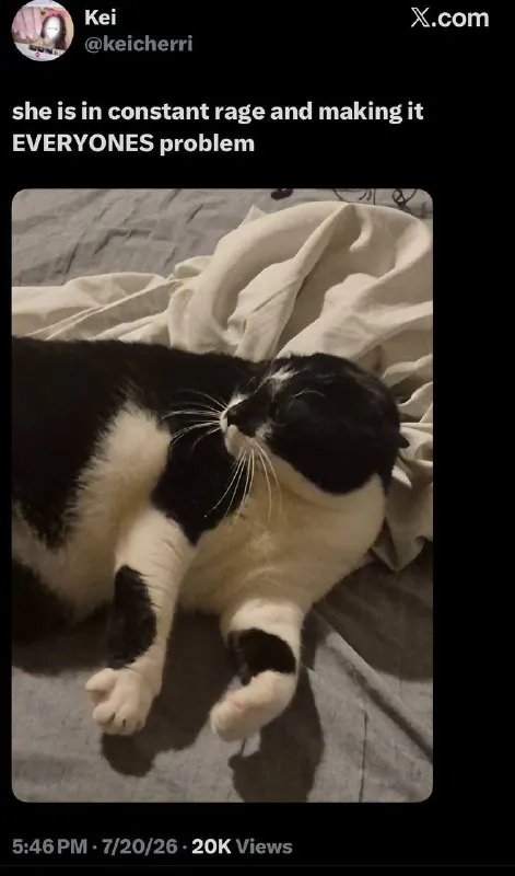 Cat's Constant Rage
