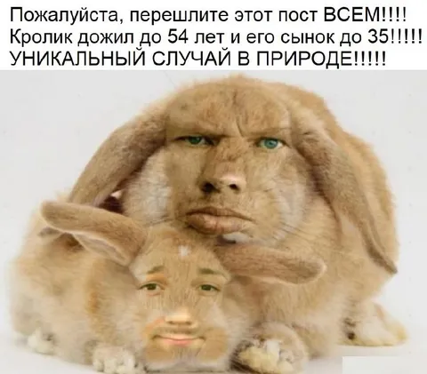 Кролик дожил до 54 лет