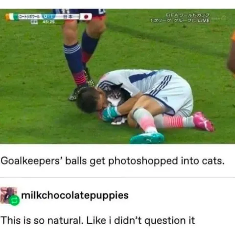 Goalkeeper Hugging a Cat