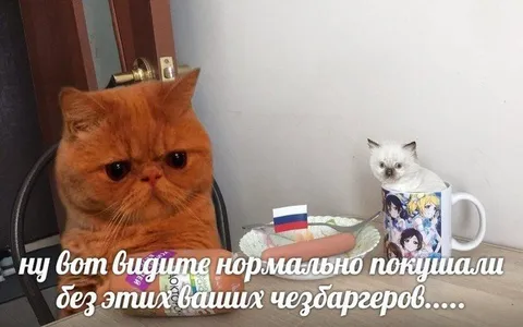Нормально покушали без чизбургеров