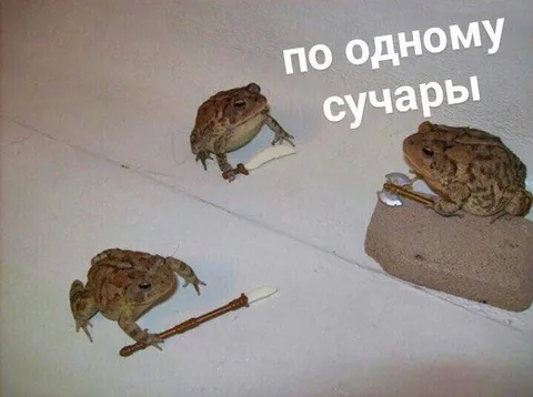 По одному, сучары