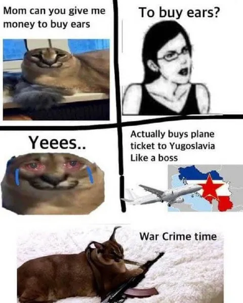 Cat Buys a Plane to Yugoslavia