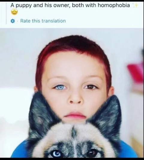 Puppy and Owner With Homophobia