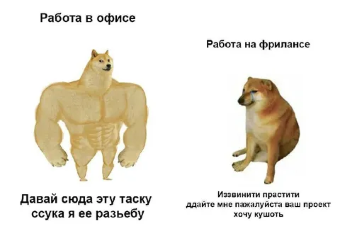 Работа в офисе и на фрилансе