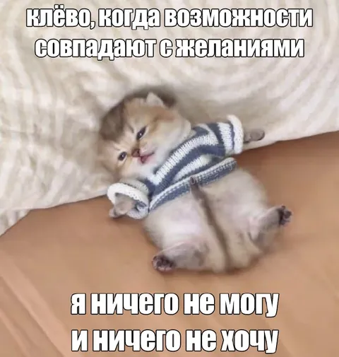 Когда ничего не можешь и не хочешь