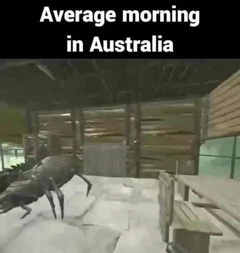 Average Morning in Australia