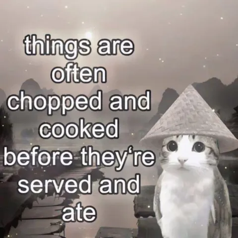 Cat in a Wizard Hat
