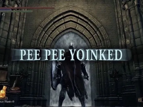 Pee Pee Yoinked Fog Gate