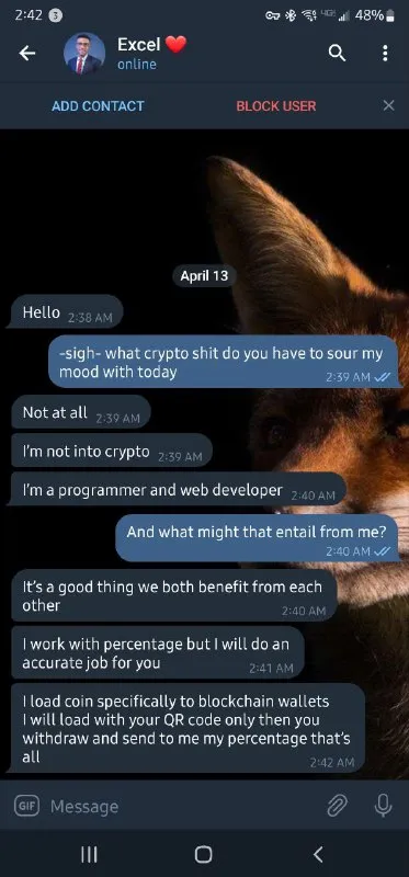 Programmer Crypto Scam Chat