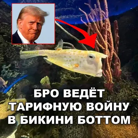 Трамп ведёт тарифную войну