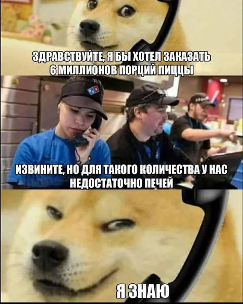 Доге заказывает 6 миллионов пицц