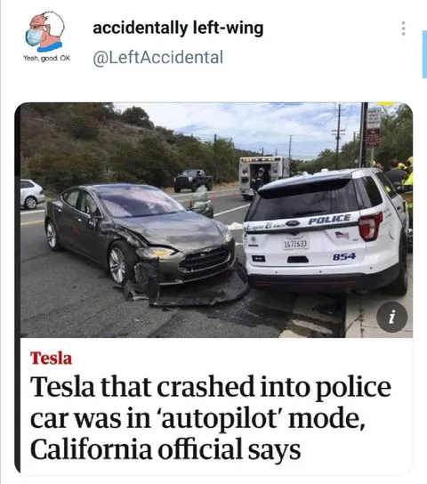 Tesla crashes into police car