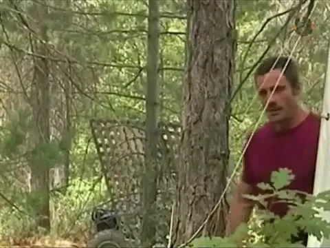Сту́жа в лесу