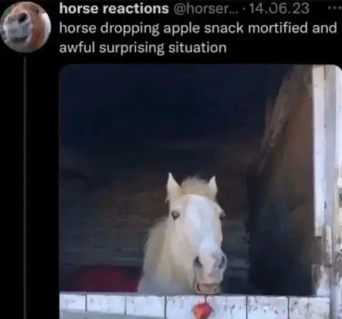 Horse Drops Apple Snack