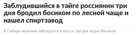 Заблудившийся россиянин нашёл спиртзавод