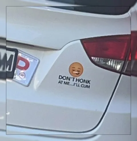 Don't Honk at Me