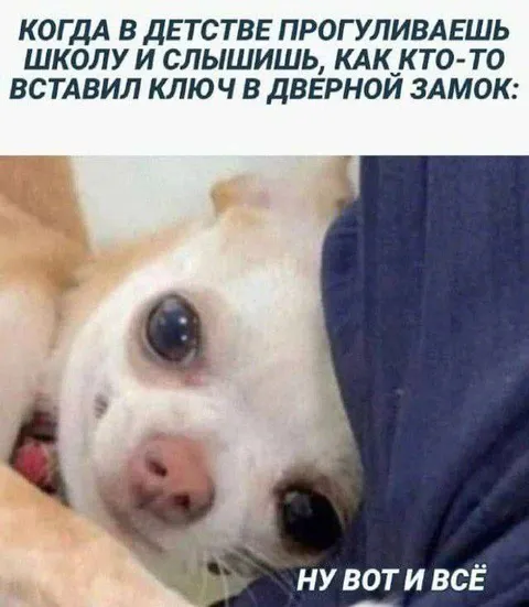 Прогулял школу и всё пропустил