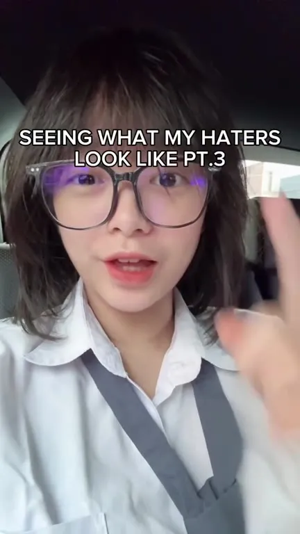 Seeing What My Haters Look Like