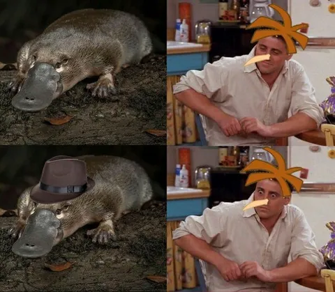 Утконос и странный Джо